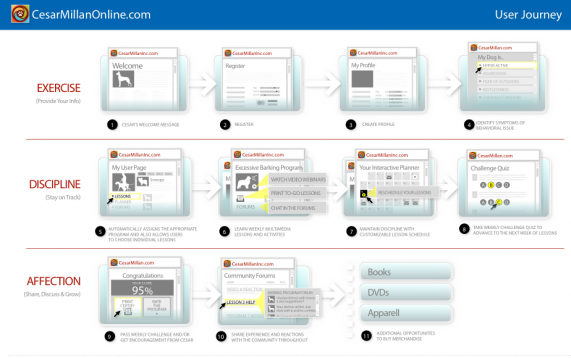User Journey Map