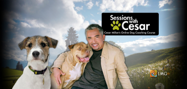 Session With Cesar Millan